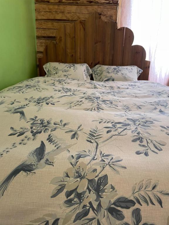 Stebuklas VNO Exteriér fotografie